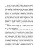 Referāts 'Viesnīcas "Park Hotel Rīdzene" darbības raksturojums', 11.