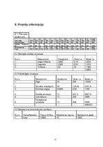 Biznesa plāns 'Biznesa plāns', 17.