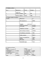 Biznesa plāns 'Biznesa plāns', 18.