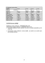 Biznesa plāns 'Biznesa plāns', 19.