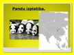 Prezentācija 'Pandas', 4.