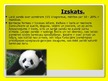 Prezentācija 'Pandas', 6.