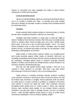 Eseja 'Mana literatūras mācību koncepcija', 2.