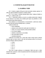 Prakses atskaite 'Prakses atskaite SIA "X"', 3.