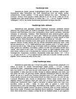 Referāts 'Norvēģija', 7.