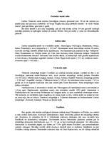 Referāts 'Norvēģija', 11.