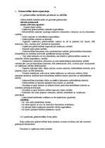 Prakses atskaite 'Prakses atskaite par uzņēmumu', 45.