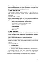 Referāts 'Četri mārketinga mix elementi', 12.