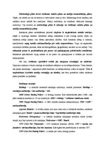 Eseja 'Mārketinga plāns, reklāmas plāns un mediju komunikāciju plāns. Reklāmas terminu ', 1.