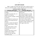 Referāts 'SWOT analīze SIA "Sky"', 3.