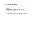 Referāts 'SWOT analīze SIA "Sky"', 6.