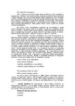 Referāts 'Biznesa plāns vadošajam IT uzņēmumam Latvijas datortirgū un IT jomā', 8.