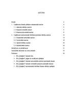 Referāts 'SIA "Ķieģelis” saimnieciskās darbības finanšu analīze', 2.