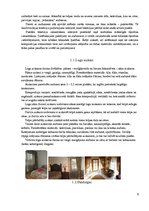 Referāts 'Tekstilijas viesnīcas interjerā', 5.