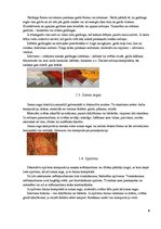 Referāts 'Tekstilijas viesnīcas interjerā', 6.