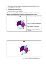 Referāts 'SIA "Lattelekom" finanšu analīze', 12.