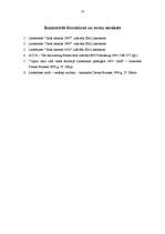 Referāts 'SIA "Lattelekom" finanšu analīze', 23.