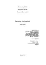 Referāts 'Uzņēmuma finanšu analīze', 1.