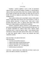 Referāts 'Uzņēmuma finanšu analīze', 3.