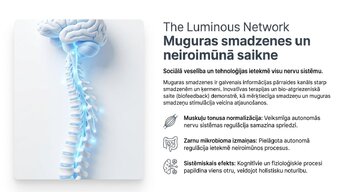 Prezentācija 'Sociālā mijiedarbība, smadzeņu plastiskums un garīgā veselība', 4.