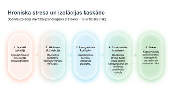 Prezentācija 'Sociālā mijiedarbība, smadzeņu plastiskums un garīgā veselība', 5.