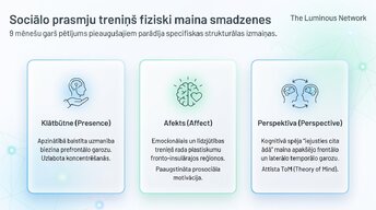 Prezentācija 'Sociālā mijiedarbība, smadzeņu plastiskums un garīgā veselība', 10.