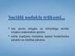 Prezentācija 'Sociālais nodoklis', 15.