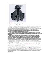 Referāts 'Piena apstrāde', 7.