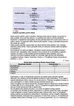 Referāts 'Piena apstrāde', 19.