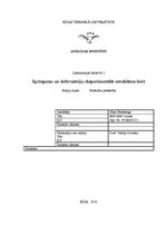 Paraugs 'Spriegumu un deformāciju eksperimentālā noteikšana liecē', 1.