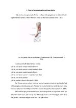 Referāts 'Fizioterapija un ārstēšanas iespējas pēc ceļa locītavas menisku traumām ', 12.