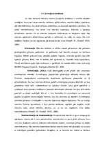 Referāts 'Fizioterapija un ārstēšanas iespējas pēc ceļa locītavas menisku traumām ', 20.