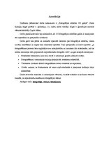 Referāts 'Fotogrāfijas attīstība 183 gados', 2.