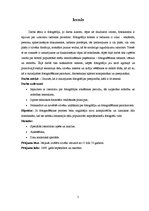 Referāts 'Fotogrāfijas attīstība 183 gados', 5.