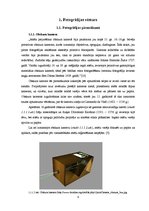 Referāts 'Fotogrāfijas attīstība 183 gados', 6.