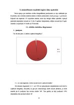 Referāts 'Fotogrāfijas attīstība 183 gados', 16.