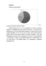 Referāts 'Fotogrāfijas attīstība 183 gados', 21.