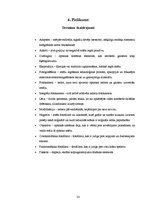 Referāts 'Fotogrāfijas attīstība 183 gados', 33.