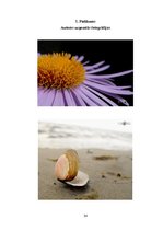 Referāts 'Fotogrāfijas attīstība 183 gados', 34.