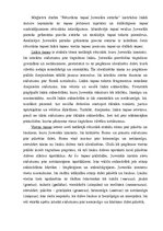 Diplomdarbs 'Rētorikas topoi Juvenāla satirās', 70.