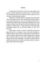 Referāts 'Ienākumu sadales problēmas Latvijā mūsdienās', 2.