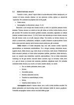 Referāts 'Aktīvā tūrisma iespējas Liepājā', 9.