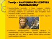 Prezentācija 'Neandertālietis', 14.