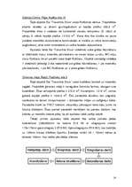 Prakses atskaite 'Ražošanas tehnoloģiskās prakses atskaite', 14.