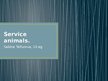 Prezentācija 'Service Dogs', 1.