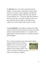 Referāts 'Teiču rezervāts', 23.