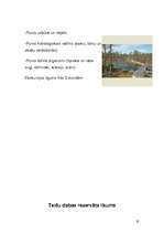 Referāts 'Teiču rezervāts', 35.