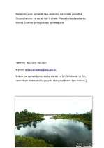 Referāts 'Teiču rezervāts', 41.