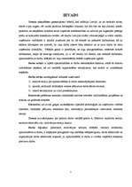 Referāts 'Apmierinātība ar darbu kā motivējošs faktors', 2.