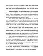 Referāts '"LNT ziņu" un "Panorāmas" salīdzinājums', 7.